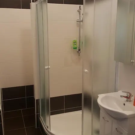 Apartman Hlavni 131/50 *